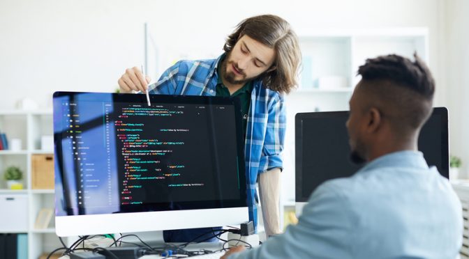 What are the perks of being a Web Developer?